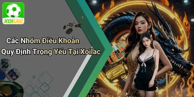 Các Nhóm Điều Khoản Quy Định Trọng Yếu Tại Xoilac