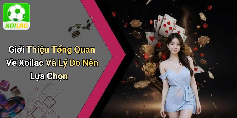 Giới Thiệu Tổng Quan Về Xoilac Và Lý Do Nên Lựa Chọn