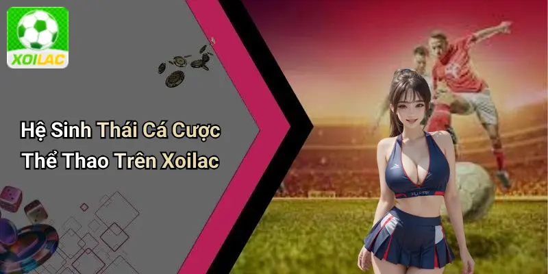Hệ Sinh Thái Cá Cược Thể Thao Trên Xoilac