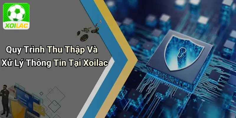 Quy Trình Thu Thập Và Xử Lý Thông Tin Tại Xoilac