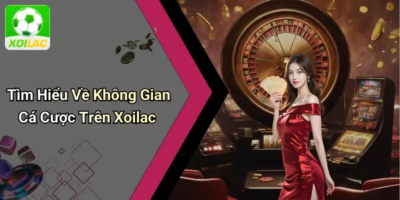 Tìm Hiểu Về Không Gian Cá Cược Trên Xoilac