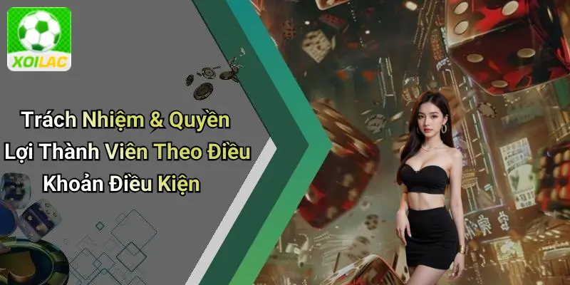 Trách Nhiệm & Quyền Lợi Thành Viên Theo Điều Khoản Điều Kiện