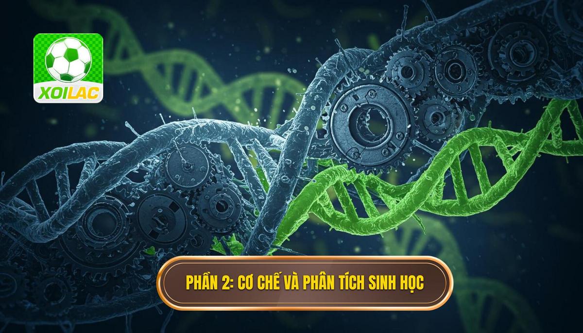 Phần 2_ Cơ Chế Kỹ Thuật và Phân Tích Sinh Cơ Học