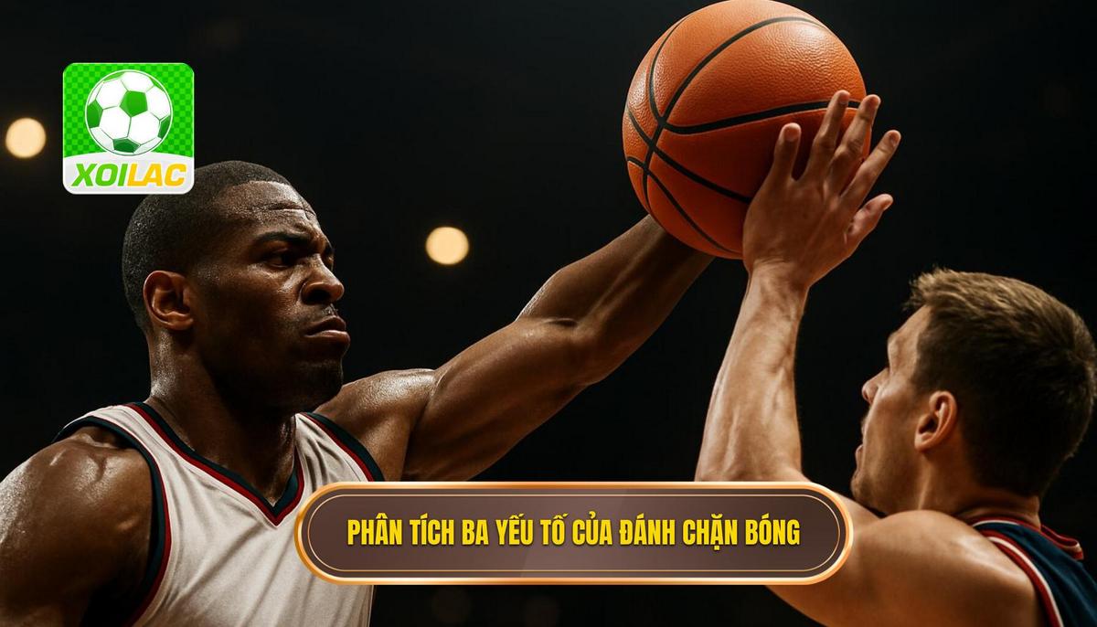 Phân Tích Chuyên Sâu Ba Yếu Tố Cốt Lõi Của Đánh Chặn Bóng
