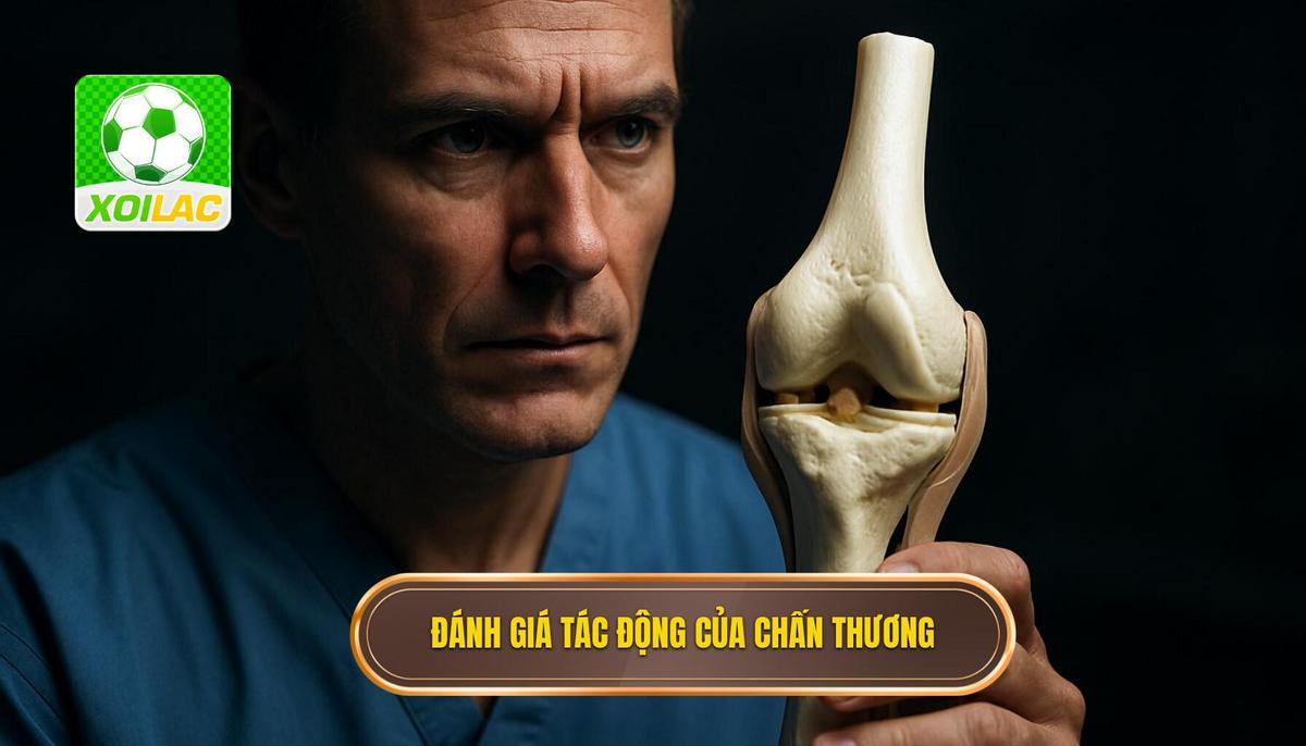 Đánh giá định lượng tác động của chấn thương