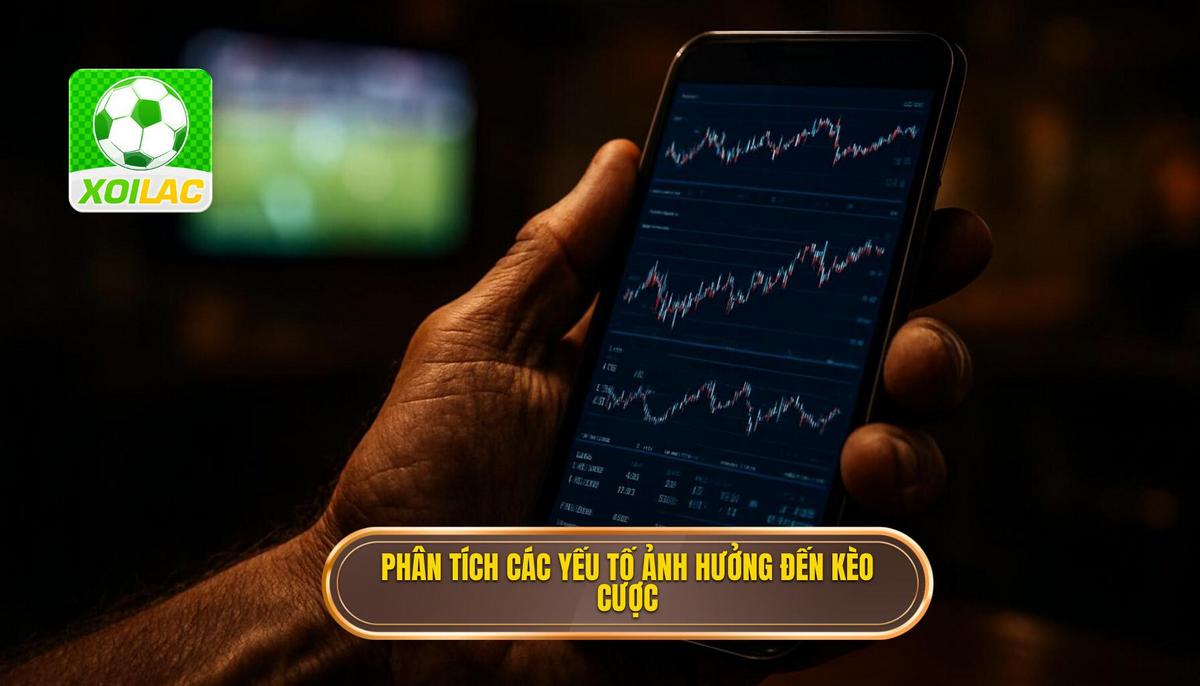 Phân Tích Chuyên Sâu Các Yếu Tố Ảnh Hưởng Đến Kèo Cược Tổng Số Lần Phạm Lỗi