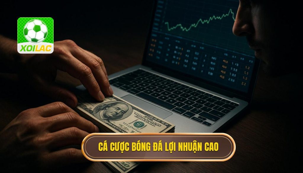 thumb - cá cược bóng đá lợi nhuận cao
