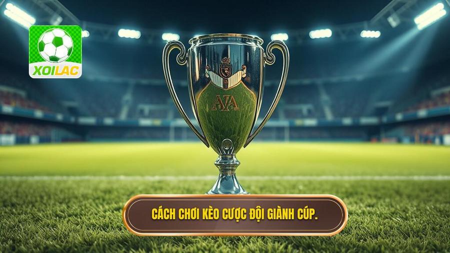 Cách chơi kèo cược đội giành cúp