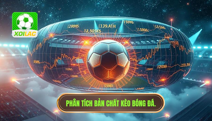Bản chất của việc dự đoán kèo bóng đá