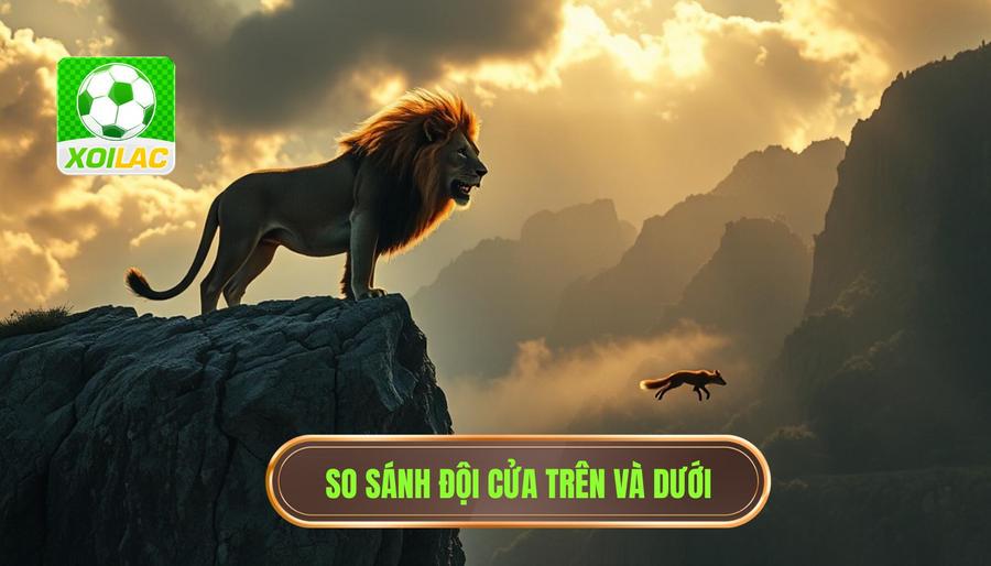Bảng so sánh: Sự khác biệt giữa Đội cửa trên và Đội cửa dưới