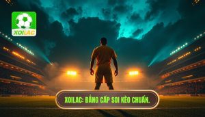 Đội cửa dưới có dễ tạo địa chấn không? Phân tích từ XOILAC
