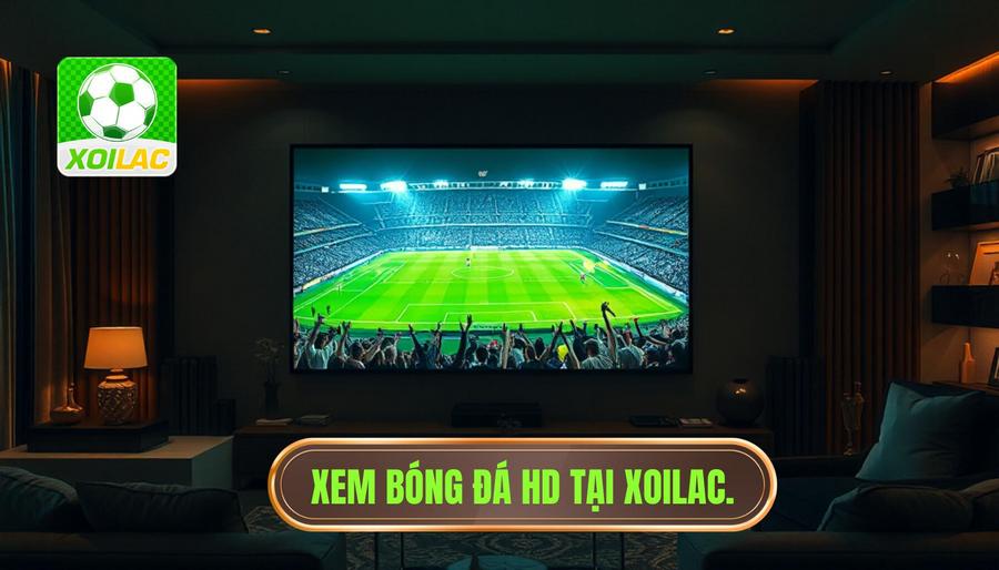 Tại sao Xoilac xem bóng đá HD lại trở thành xu hướng dẫn đầu? Tại sao Xoilac xem bóng đá HD lại trở thành xu hướng dẫn đầu?